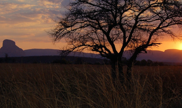 Sunrise Sterkfontein