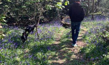 The Unboxed #daily-outside-photo. Mental Health Awareness Week May 2021